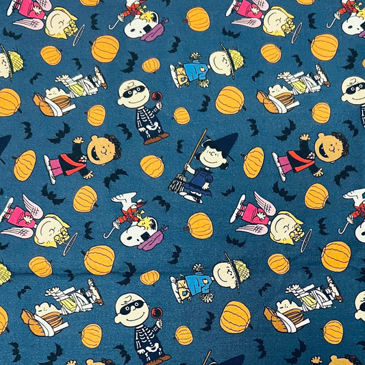 Euro Cap-"Peanuts and Pumpkins"