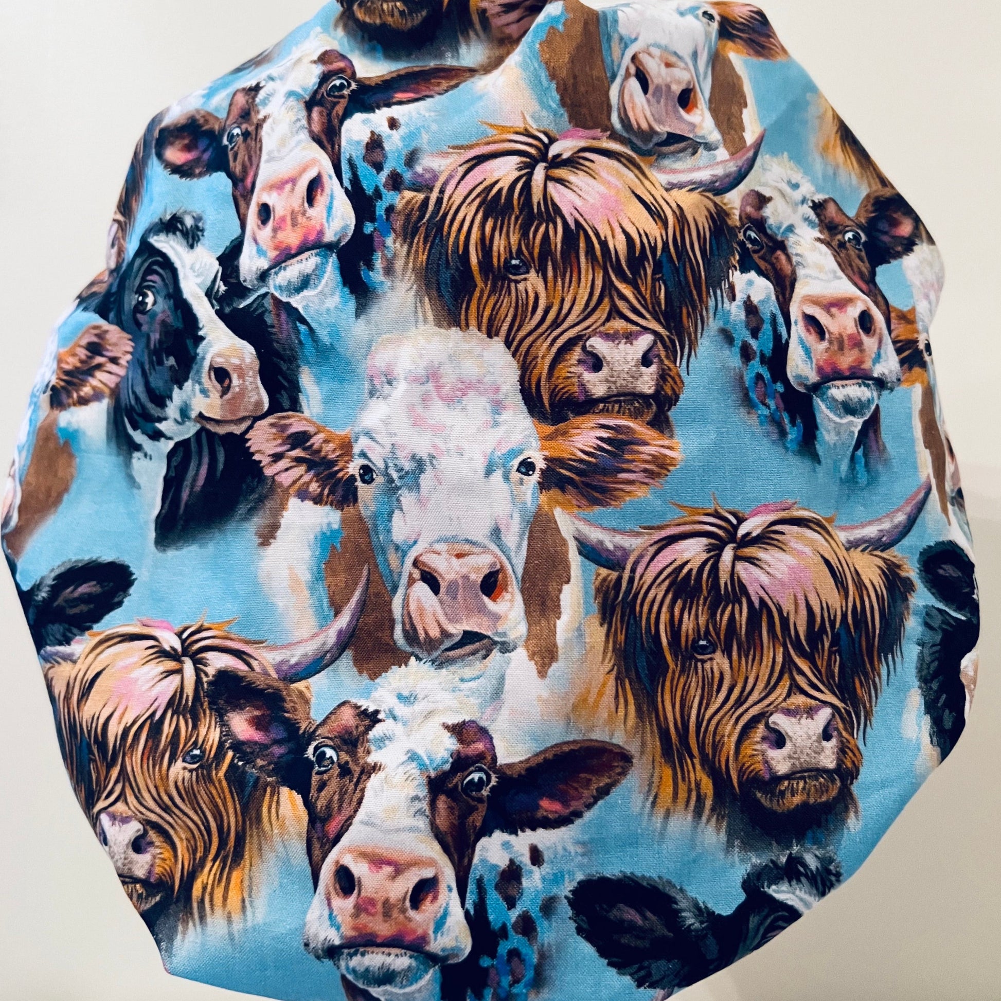 Bouffant-Long hair cows