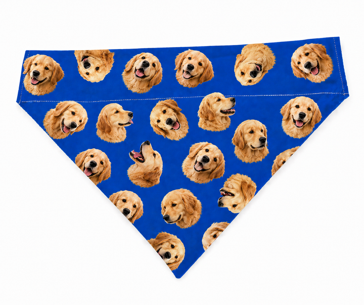 Complimentary matching pet bandana golden retriever royal blue custom dog bandana included with every custom pet photo scrub cap OR World