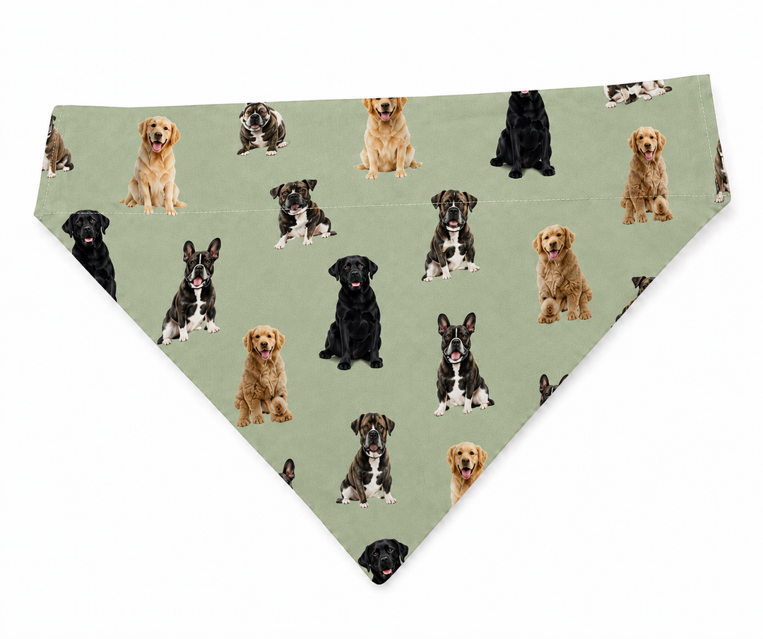 Complimentary matching pet bandana multi dog breeds sage green free with every custom pet photo euro scrub cap OR World handmade USA